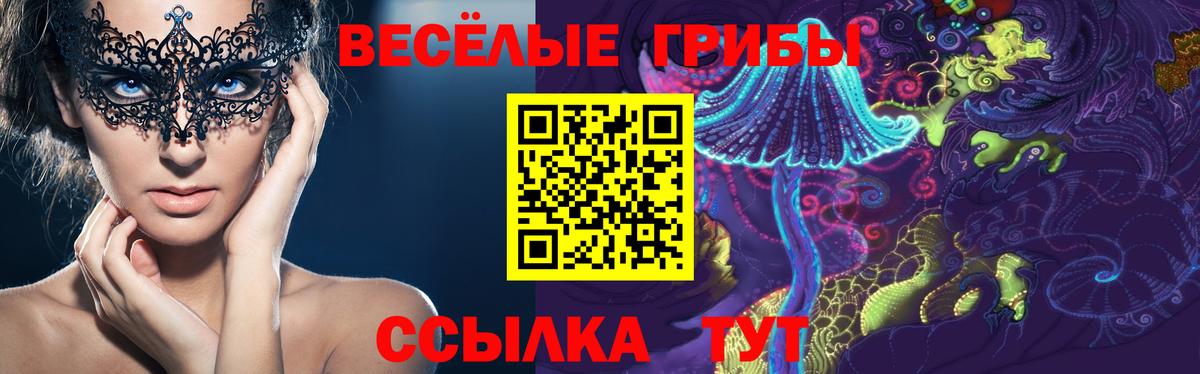 Галлюциногенные грибы MAGIC MUSHROOMS  Вход с VPN  Хабаровск 