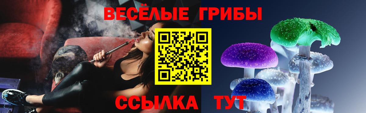 Псилоцибиновые грибы GOLDEN TEACHER Хабаровск