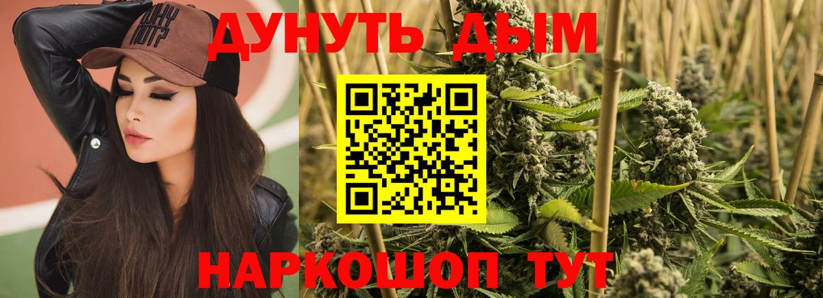 Бошки марихуана планчик  МАРИХУАНА Amnesia  Вход с VPN  МАРИХУАНА планчик  Хабаровск  Каннабис сатива 